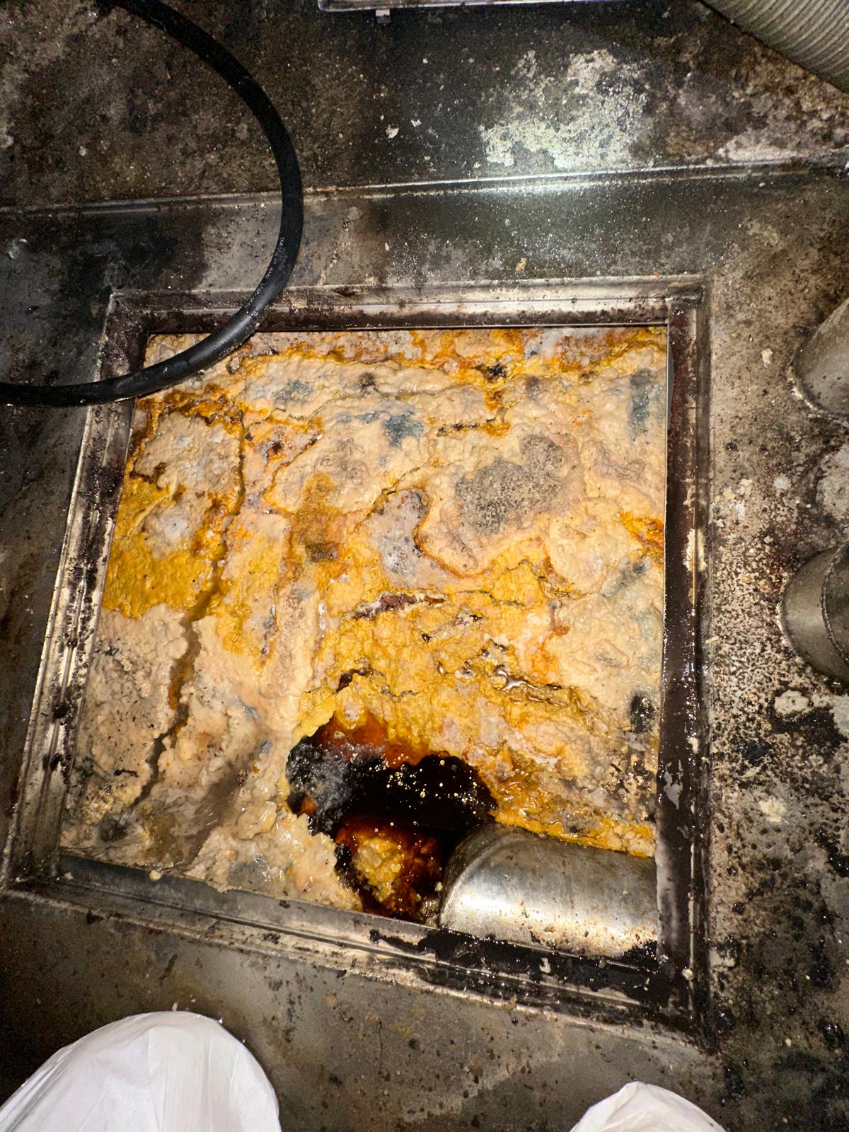 Pompage bac à graisse - Image 5